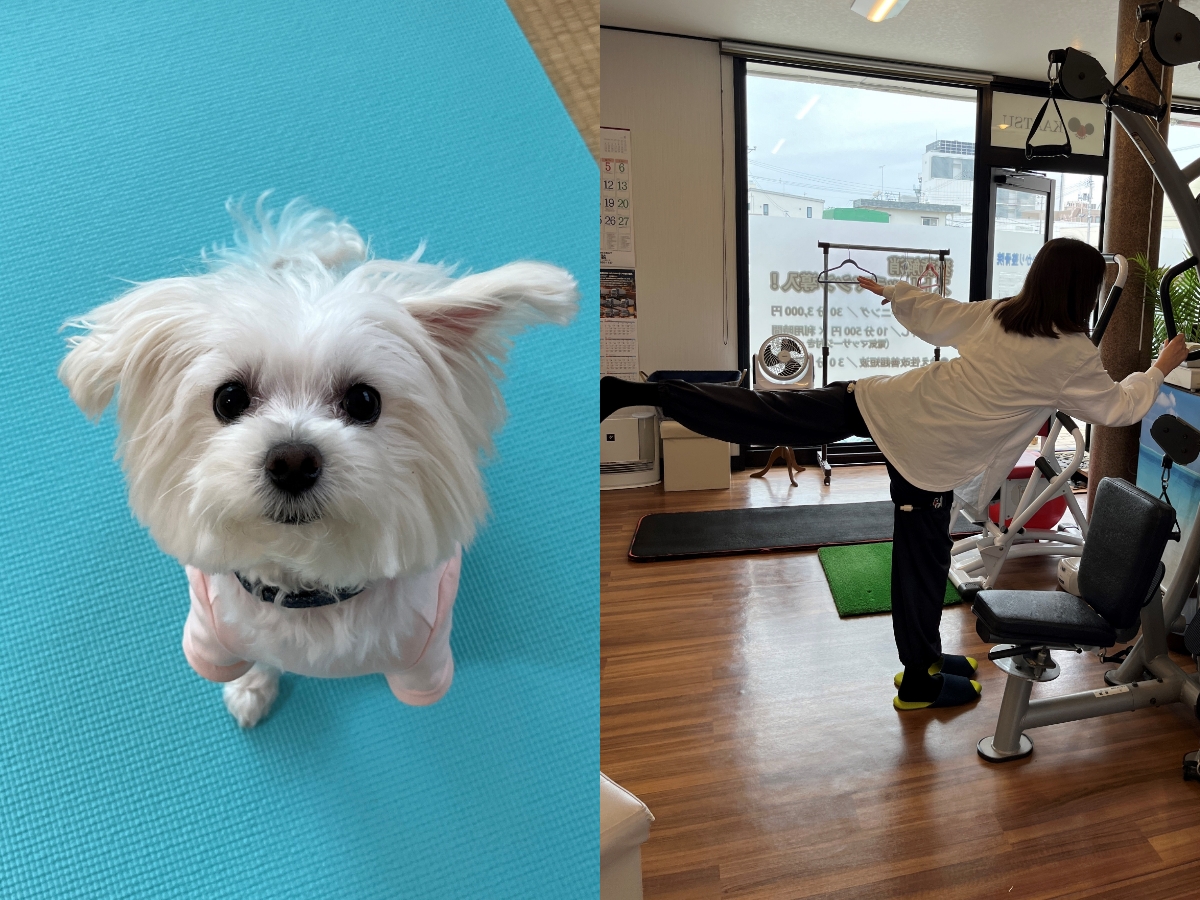 ヨガ、加圧トレーニングなどで体を動かしてリフレッシュ。